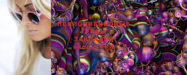 таблы Ладушкин